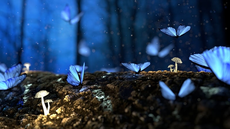 Enchanted Garden Vibes